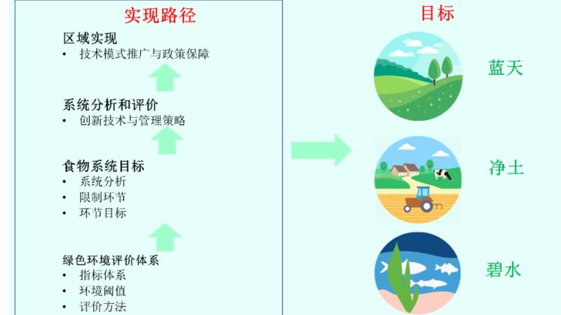 屋顶农业种植加盟代理：开启立体农业新篇章
