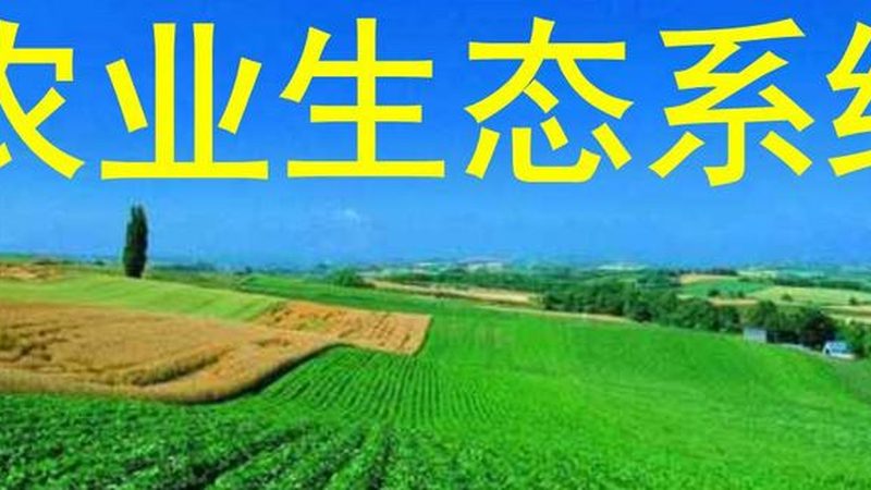 小型生态农业加盟投资，预算如何分配？**