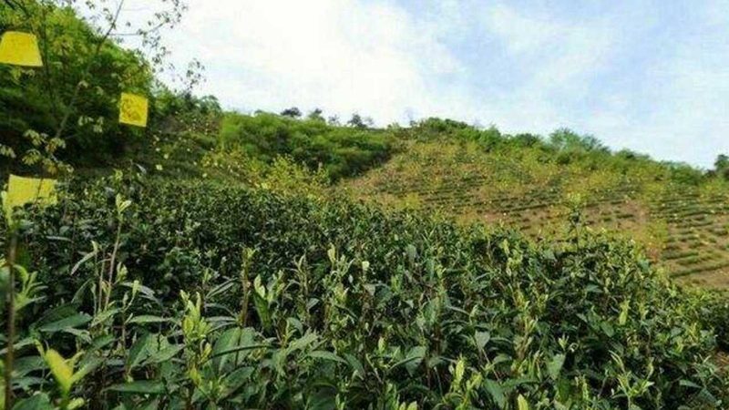 成都农资店装修设计公司