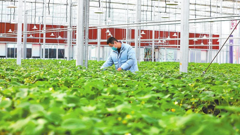 生鲜配送经营许可证：护航食品安全与行业合规的基石