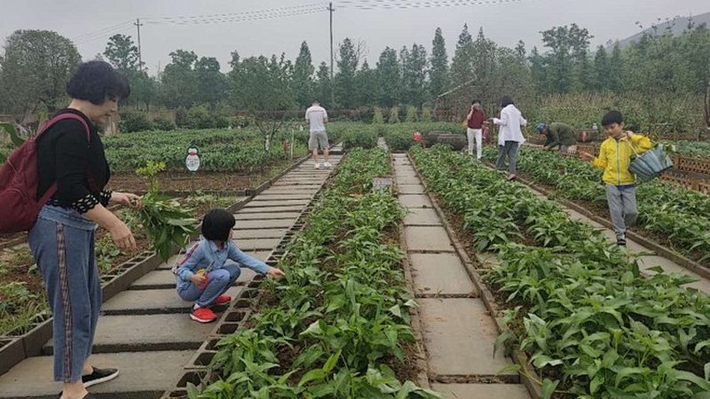 大棚保温被：如何选择优质产品，保障农业生产效率**