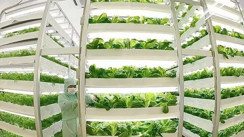 农资批发与零售：品牌选择的差异与考量