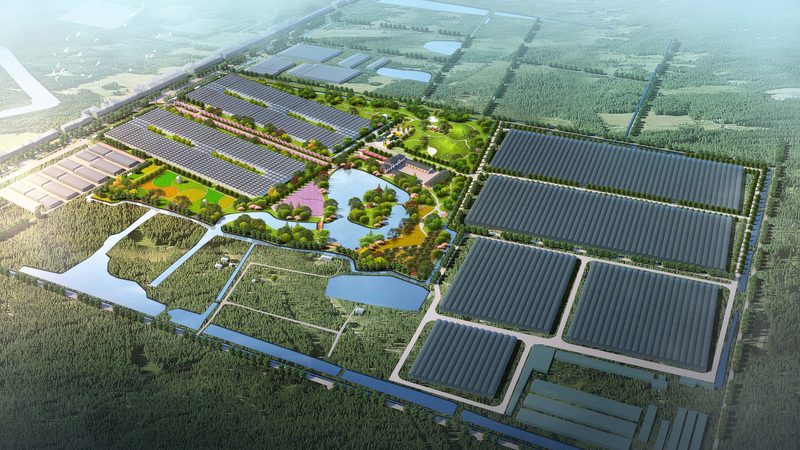 广州农资批发：小型种植户如何精准选择？**