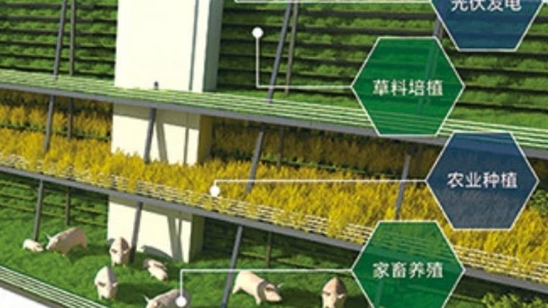 生态农场投资预算，如何科学规划？**
