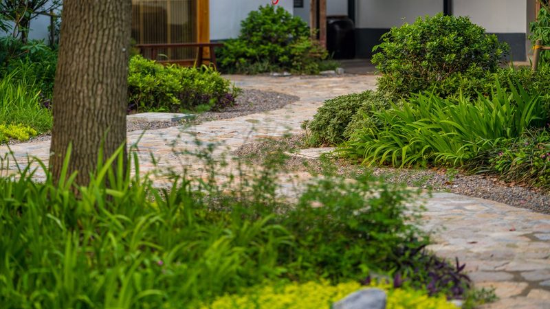 城市屋顶农业公司排名