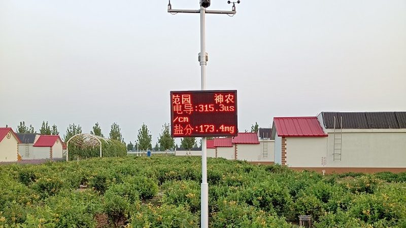 绿色食品认证，小企业如何顺利通关？**
