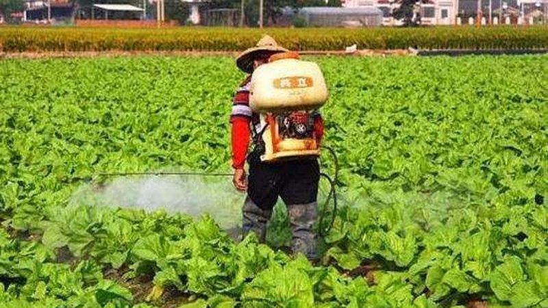生态农业项目加盟，如何选择合适的项目？**