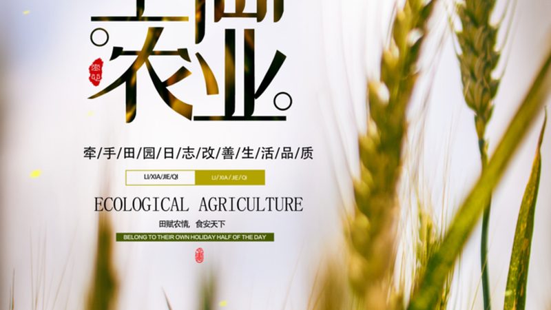 错过窗口期等于白忙一年